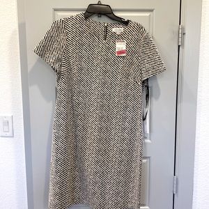 NWT Calvin Klein size 12 dress